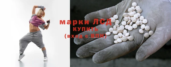 ГАЛЛЮЦИНОГЕННЫЕ ГРИБЫ Заволжье