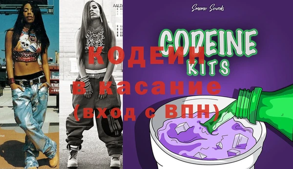 молекула духа Елизово