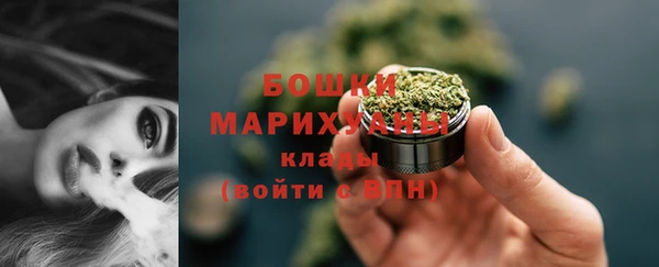 молекула духа Елизово