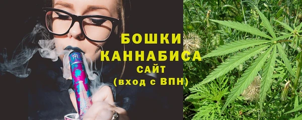 ГАЛЛЮЦИНОГЕННЫЕ ГРИБЫ Заволжье