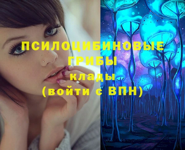 ГАЛЛЮЦИНОГЕННЫЕ ГРИБЫ Заволжье